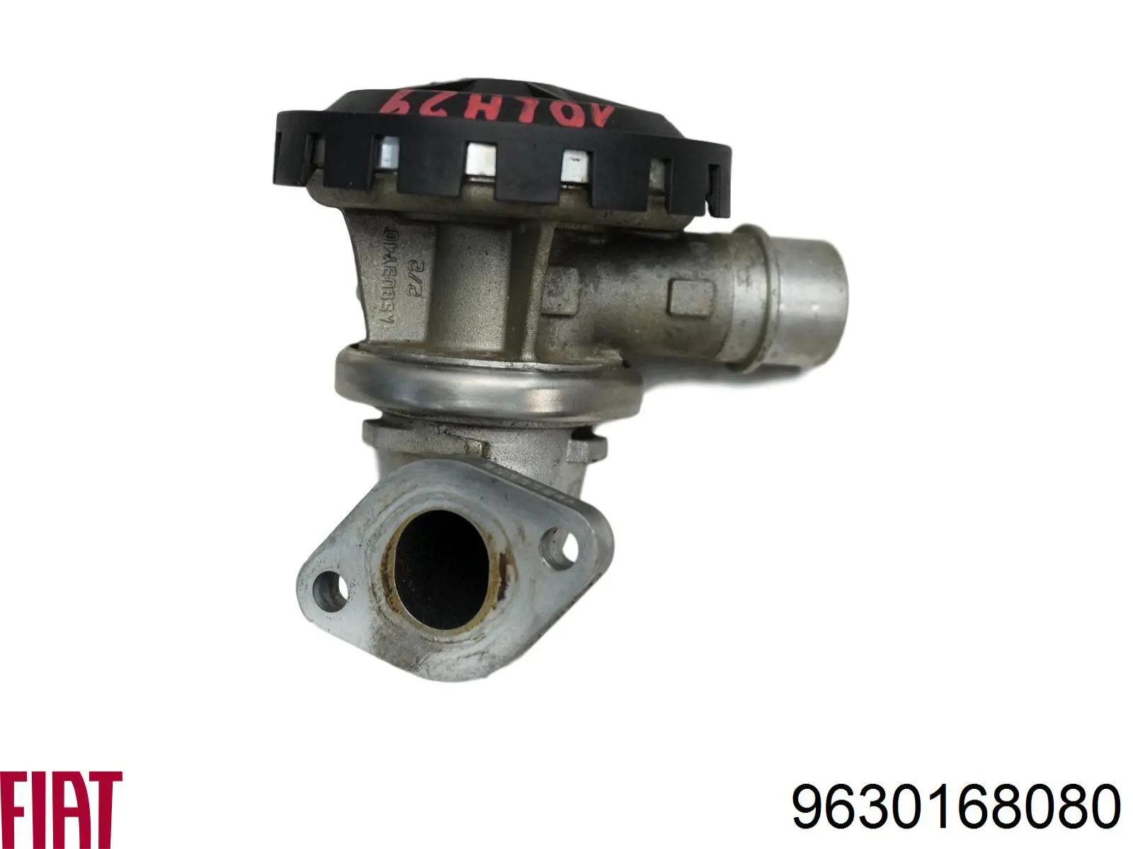 9630168080 Fiat/Alfa/Lancia 