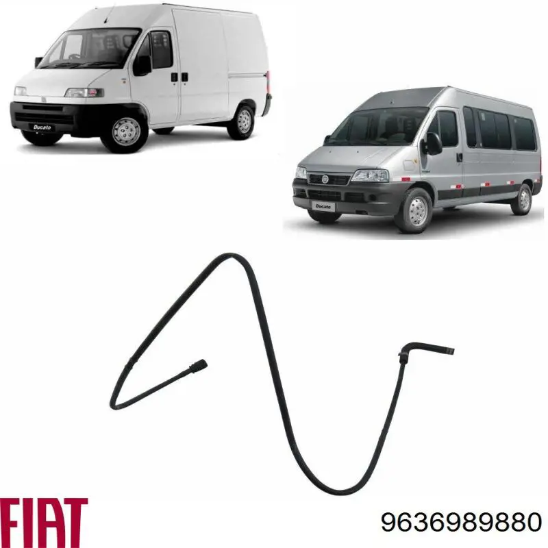 Подшипник дифференциала переднего моста Fiat/Alfa/Lancia 9636989880 цена, от 84.03 USD