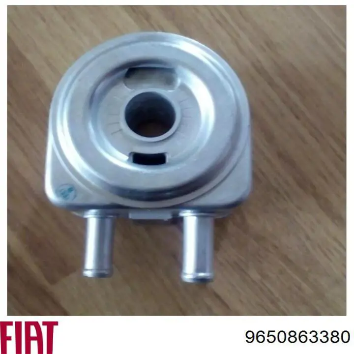 9650863380 Fiat/Alfa/Lancia