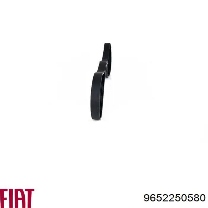 Купить 9652250580 Fiat/Alfa/Lancia Ремень генератора