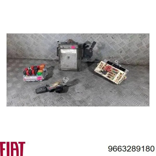 9663289180 Peugeot/Citroen Мозги двигателя