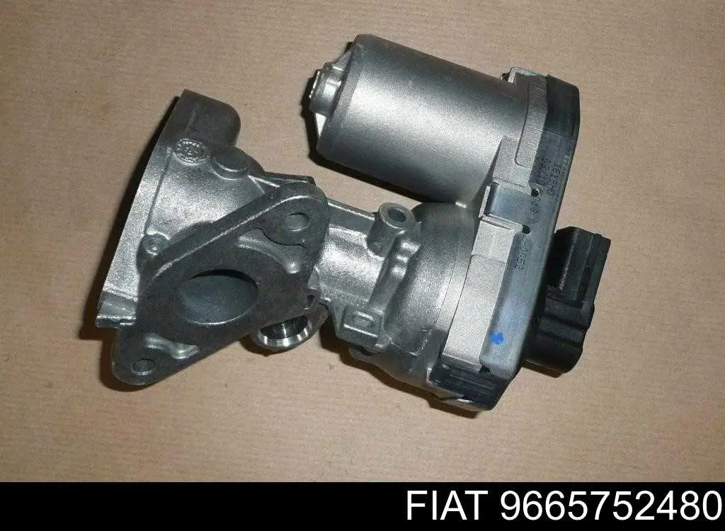 9665752480 Fiat/Alfa/Lancia Клапан рециркуляции отработавших газов EGR