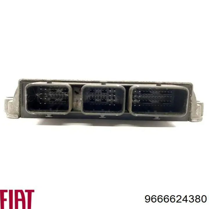 9666624380 Peugeot/Citroen 