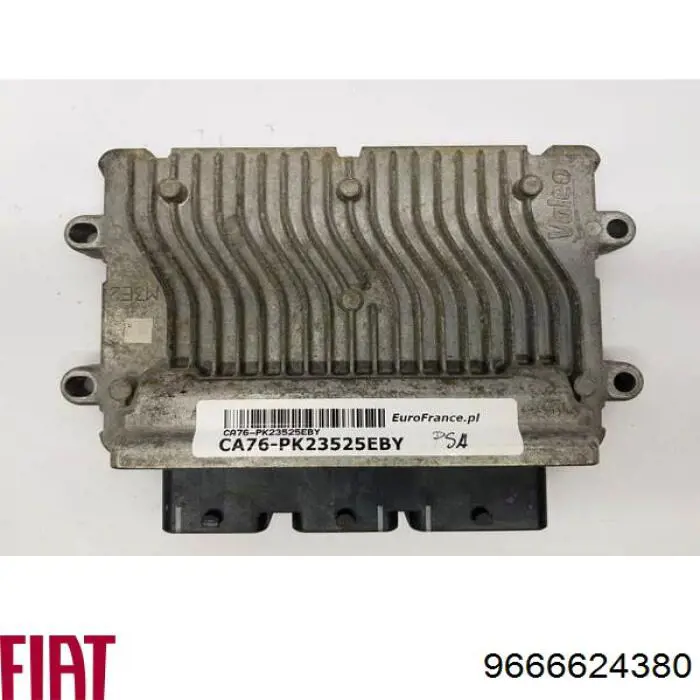  9666624380 Peugeot/Citroen
