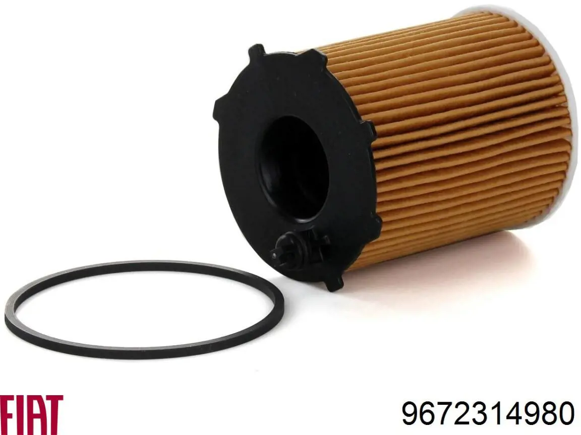 Caixa de filtro de combustível 9672314980 Fiat/Alfa/Lancia