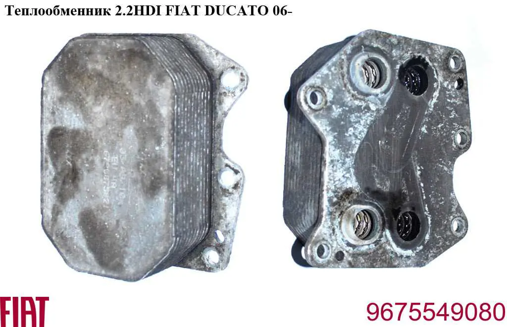 Радиатор масляный Fiat/Alfa/Lancia 9675549080