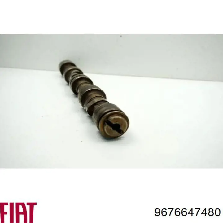 9676647480 Fiat/Alfa/Lancia Распредвал двигателя, впускной