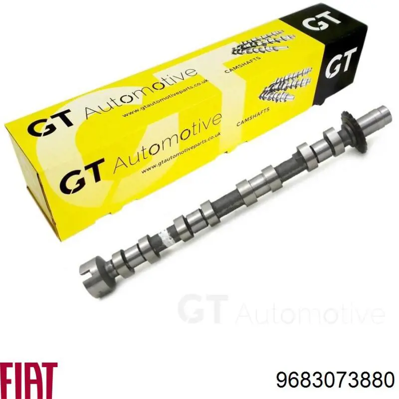 9683073880 Fiat/Alfa/Lancia árvore distribuidora de motor de escape