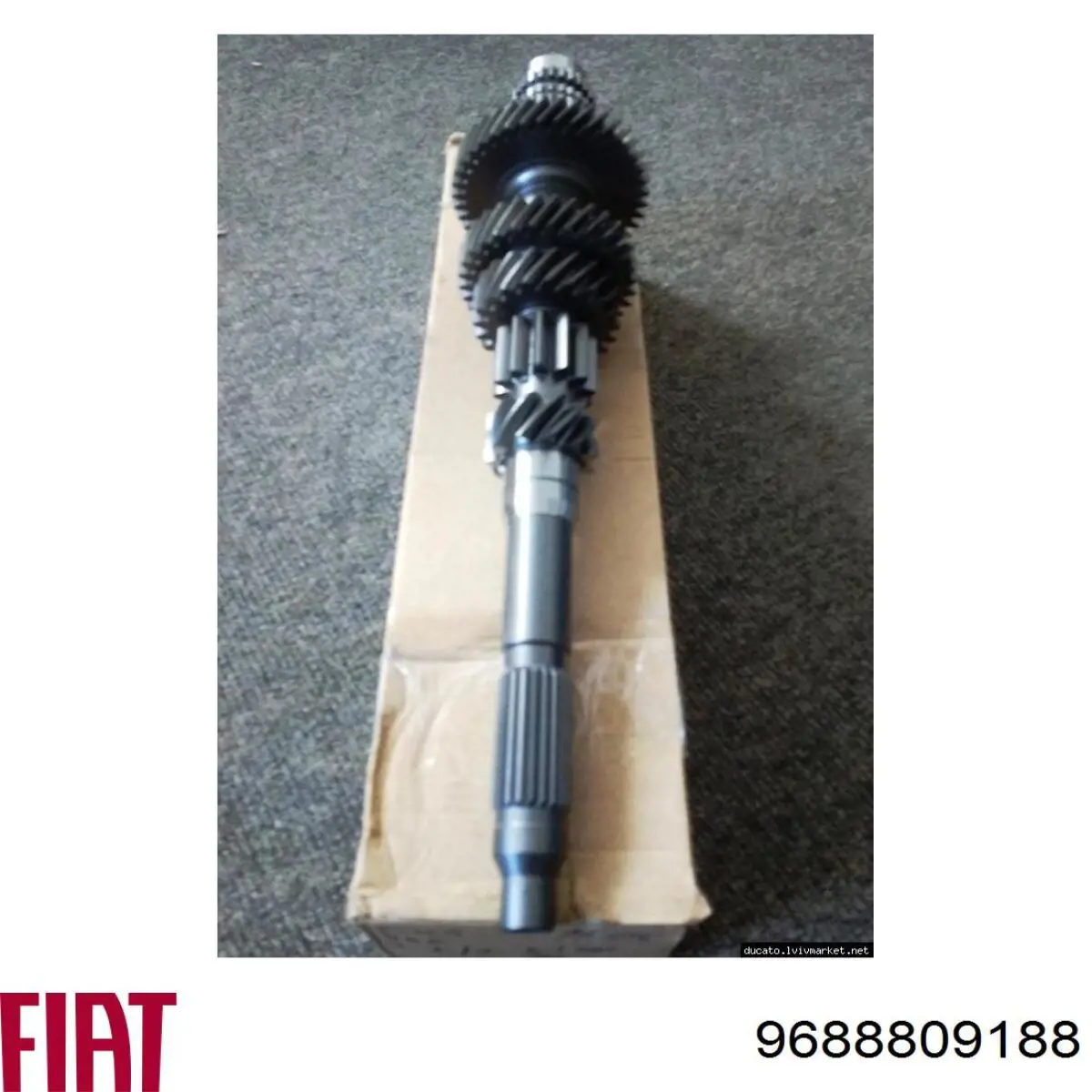 9688809188 Fiat/Alfa/Lancia 