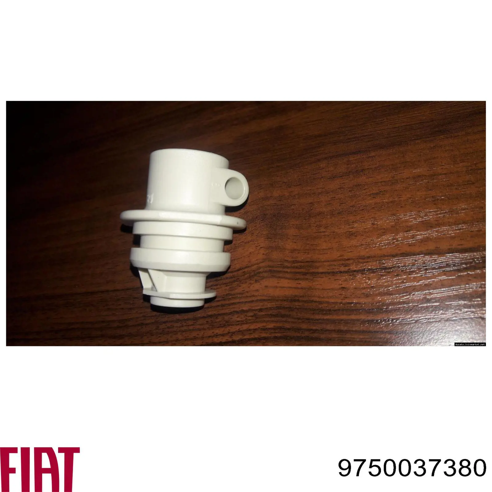 Купить 9750037380 Fiat/Alfa/Lancia 