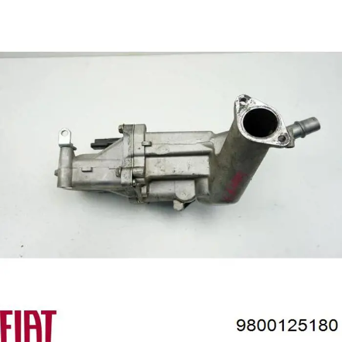 9800125180 Fiat/Alfa/Lancia радиатор системы egr рециркуляции выхлопных газов