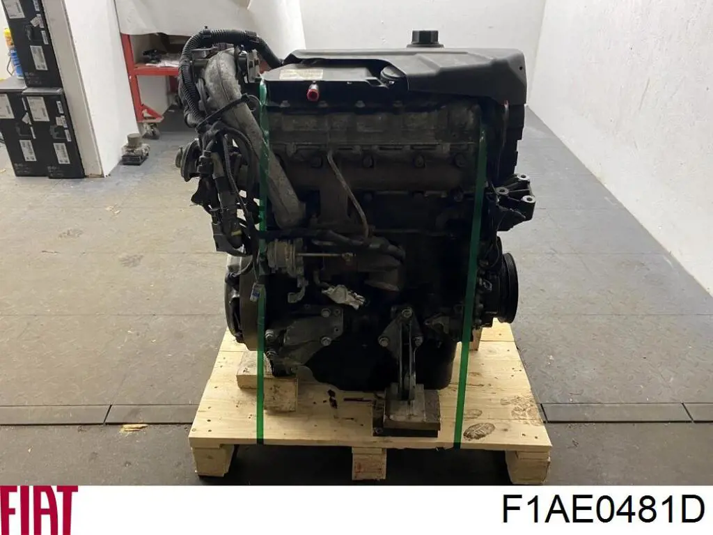 F1AE0481D Fiat/Alfa/Lancia Мотор в сборе