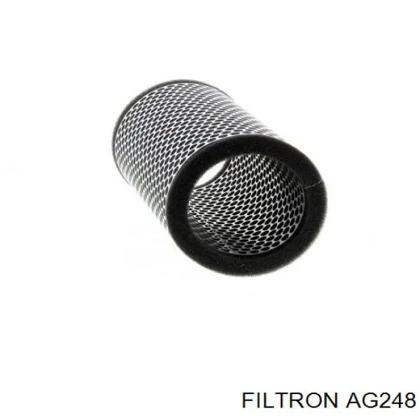 Купить AG248 Filtron Автомобильный фильтр воздуха
