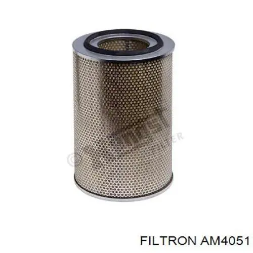 AM4051 Filtron Воздушный фильтр двигателя