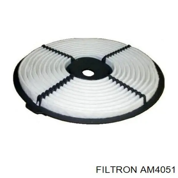 Элемент воздушного фильтра Filtron AM4051 цена, от 5.48 USD