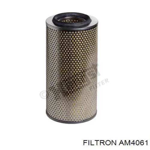 Купить AM4061 Filtron Автомобильный фильтр воздуха