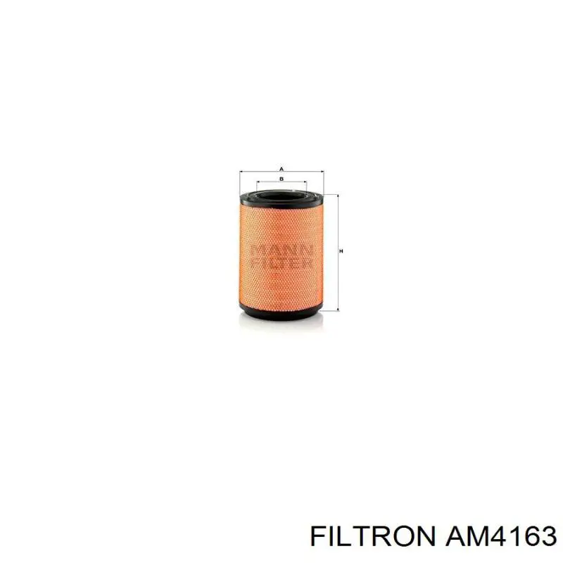 Элемент воздушного фильтра Filtron AM4163 цена, от 46.56 USD