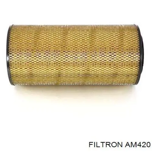 AM420 Filtron Воздушный фильтр двигателя