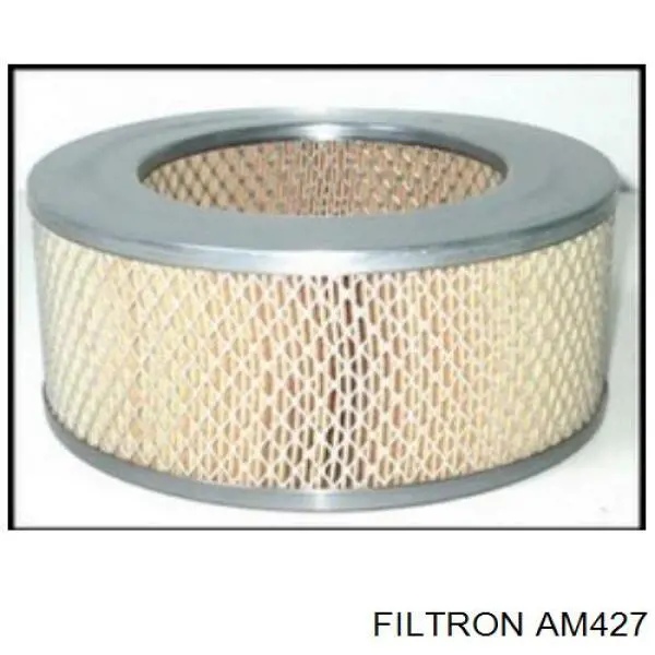 Купить AM427 Filtron Автомобильный фильтр воздуха