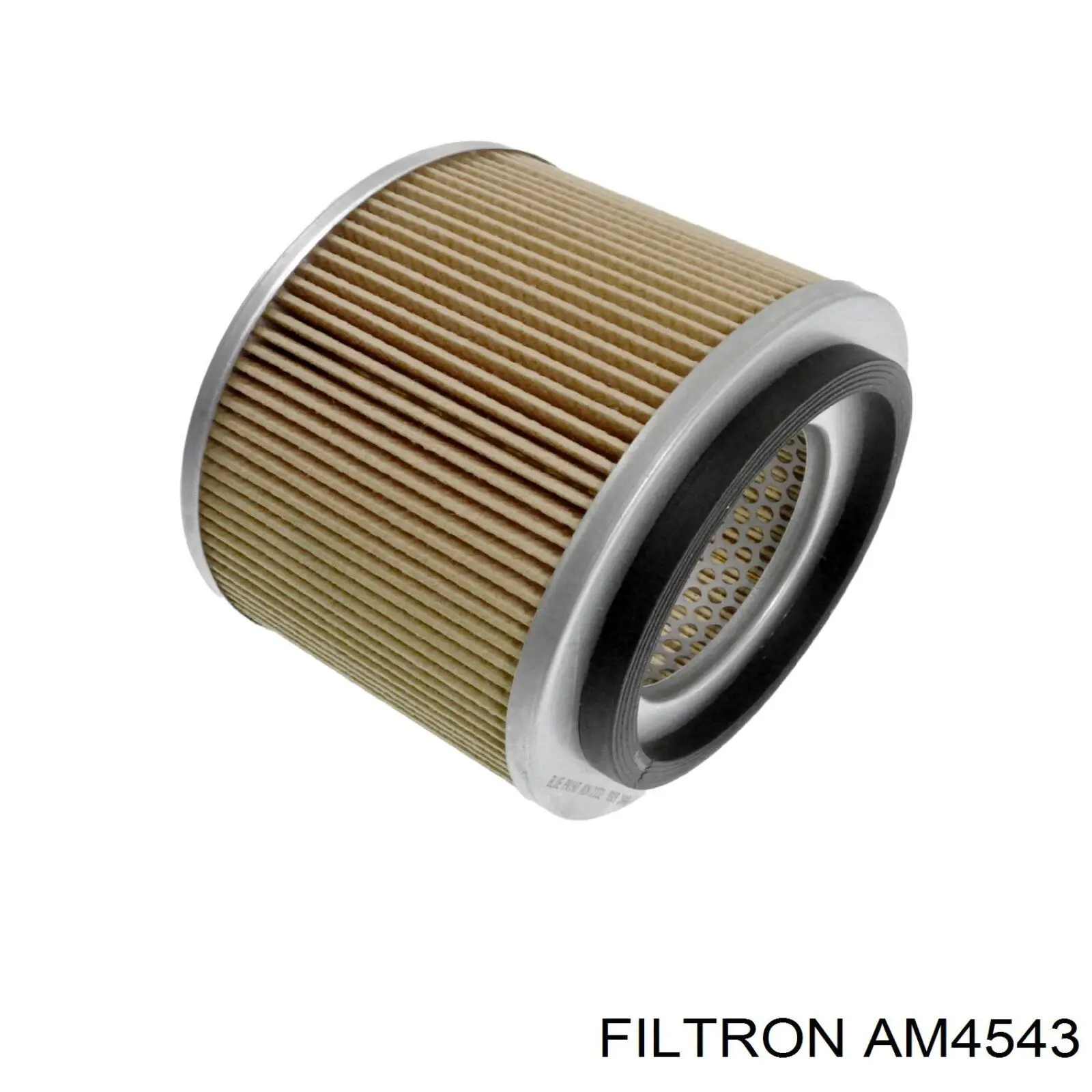 Элемент воздушного фильтра Filtron AM4543 цена, от 11.41 USD