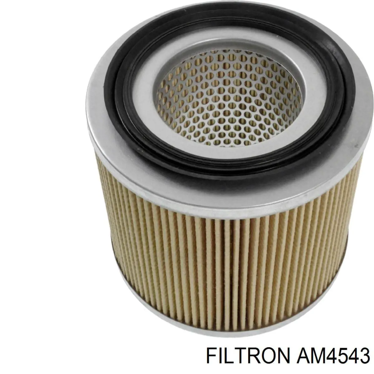 Купить AM4543 Filtron Автомобильный фильтр воздуха
