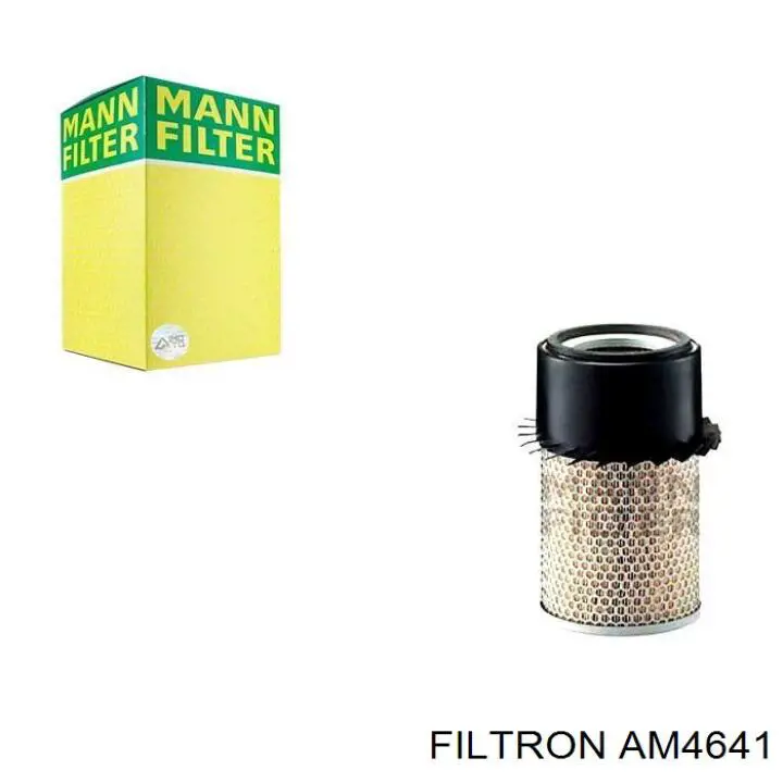 Купить AM4641 Filtron Автомобильный фильтр воздуха