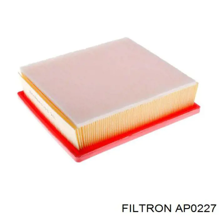 AP0227 Filtron filtro de ar