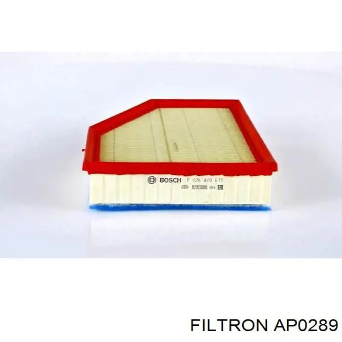 AP0289 Filtron Воздушный фильтр двигателя