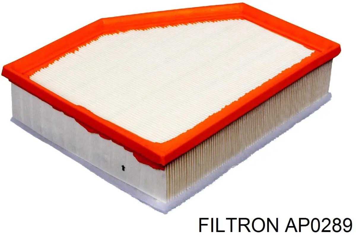 Элемент воздушного фильтра Filtron AP0289 цена, от 18.34 USD