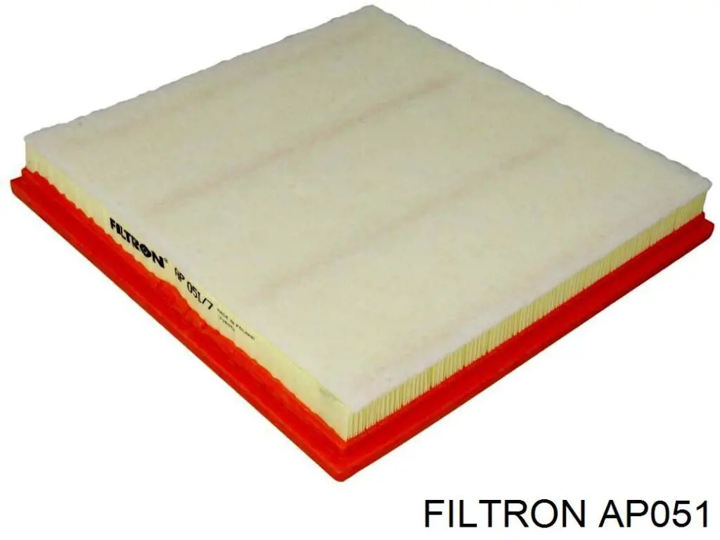 AP051 Filtron Воздушный фильтр двигателя
