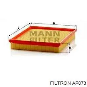 Элемент воздушного фильтра Filtron AP073 цена, от 3.38 USD