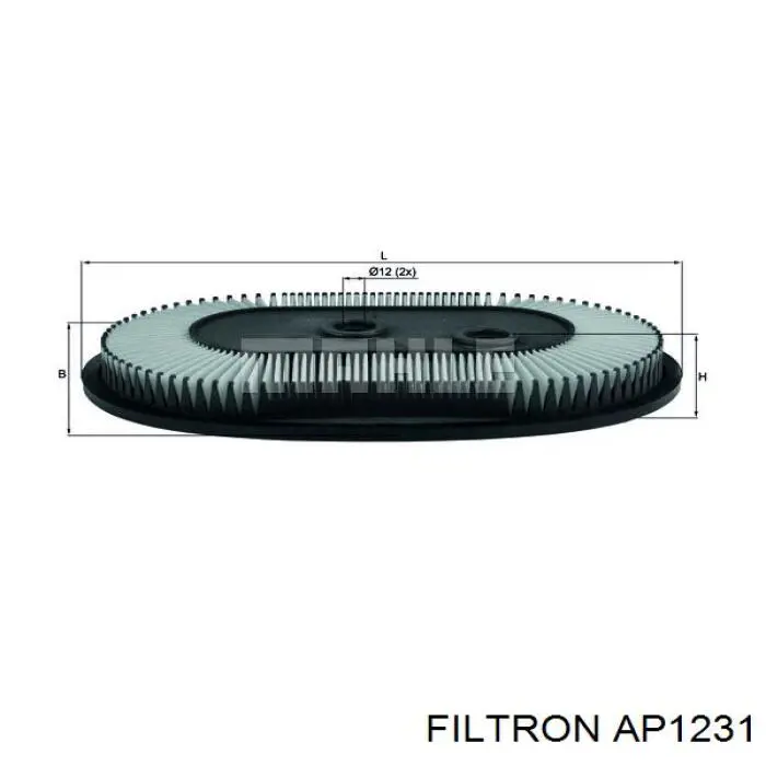 Купить AP1231 Filtron Автомобильный фильтр воздуха