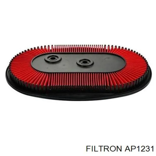 AP1231 Filtron воздушный фильтр
