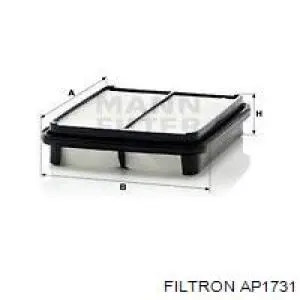 AP1731 Filtron Воздушный фильтр двигателя