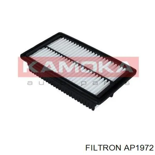 AP1972 Filtron