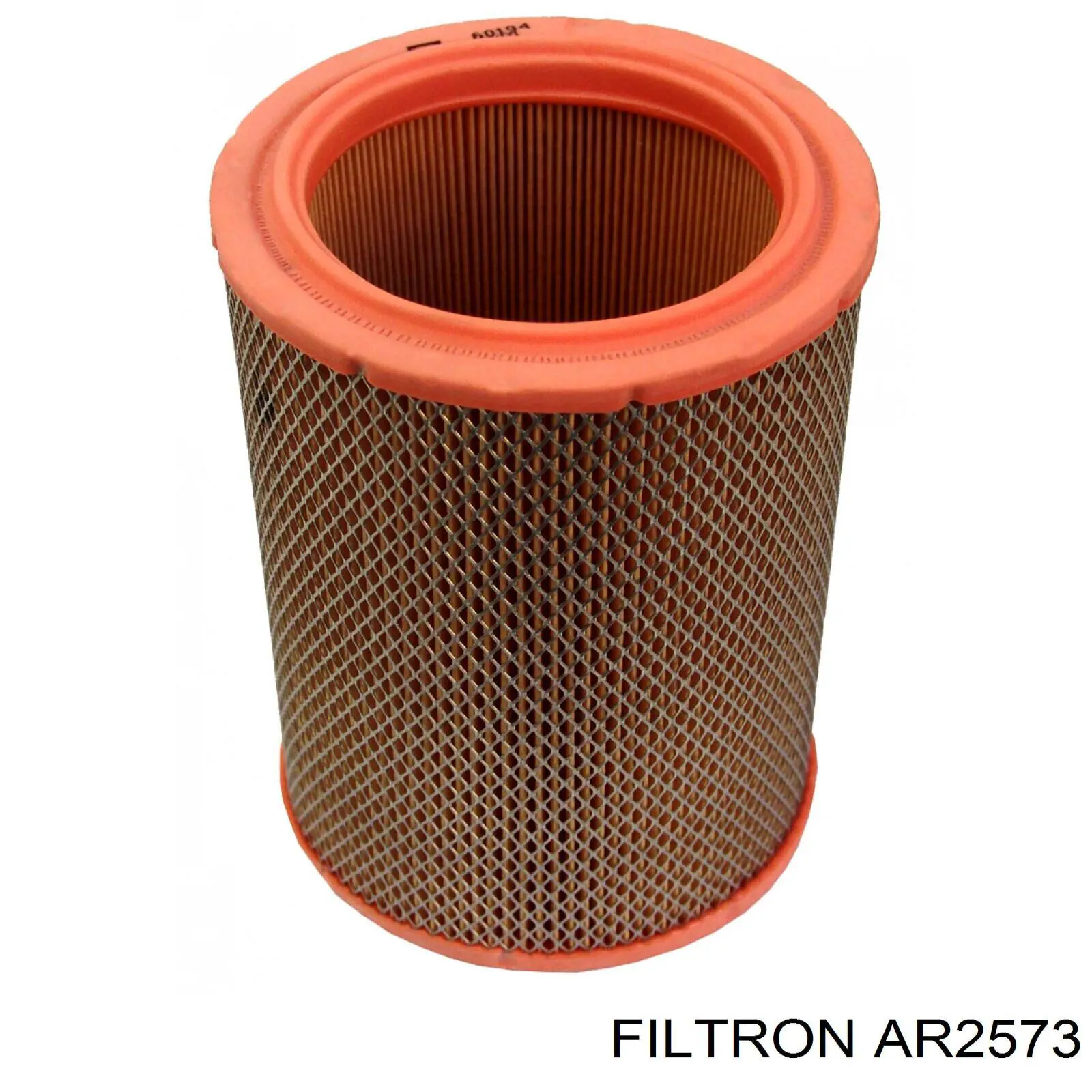 AR2573 Filtron Воздушный фильтр двигателя
