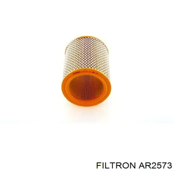 Элемент воздушного фильтра Filtron AR2573 цена, от 8.96 USD