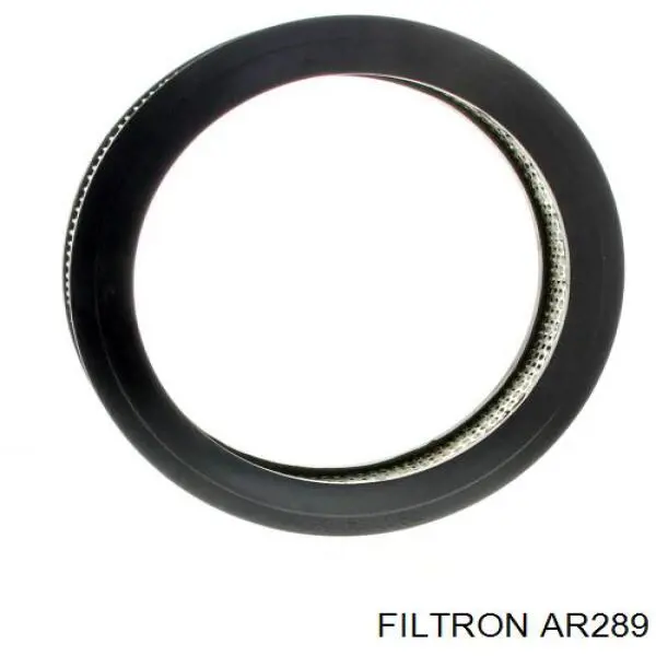 Воздушный фильтр AR289 Filtron