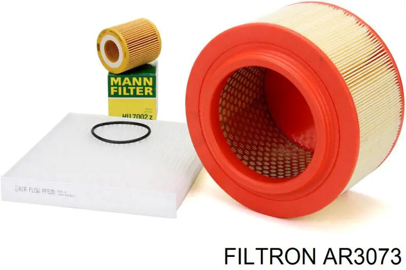 Купить AR3073 Filtron Автомобильный фильтр воздуха