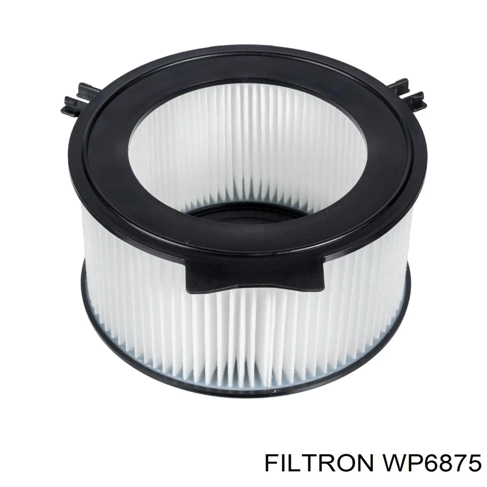 WP6875 Filtron Внутрисалонный фильтр