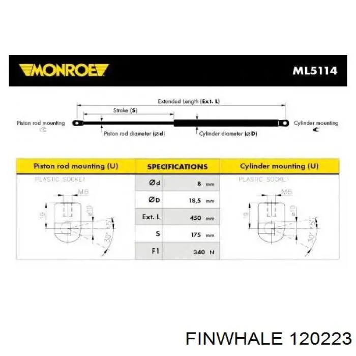 120223 Finwhale