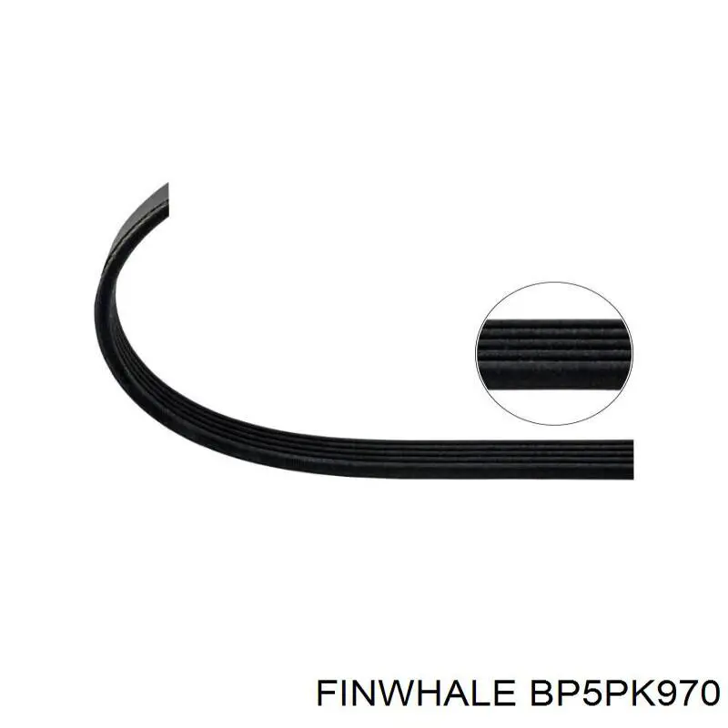 BP5PK970 Finwhale