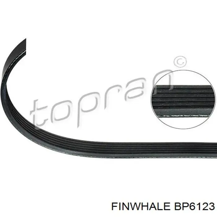 BP6123 Finwhale Поликлиновый ремень