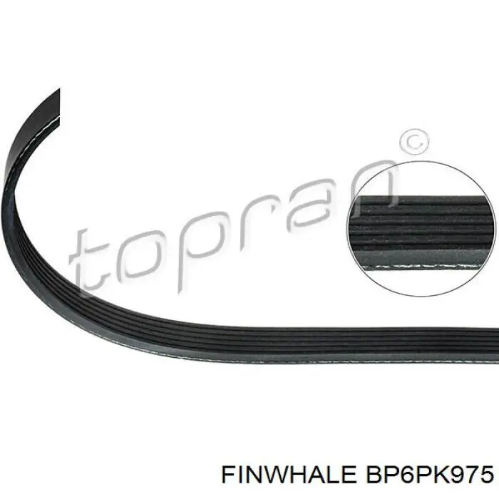 Ремень генератора BP6PK975 Finwhale