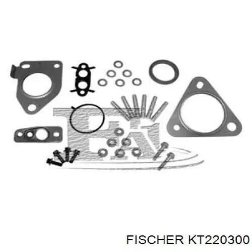 Прокладка турбины KT220300 Georg Fisher