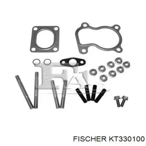 Прокладка турбины KT330100 Georg Fisher