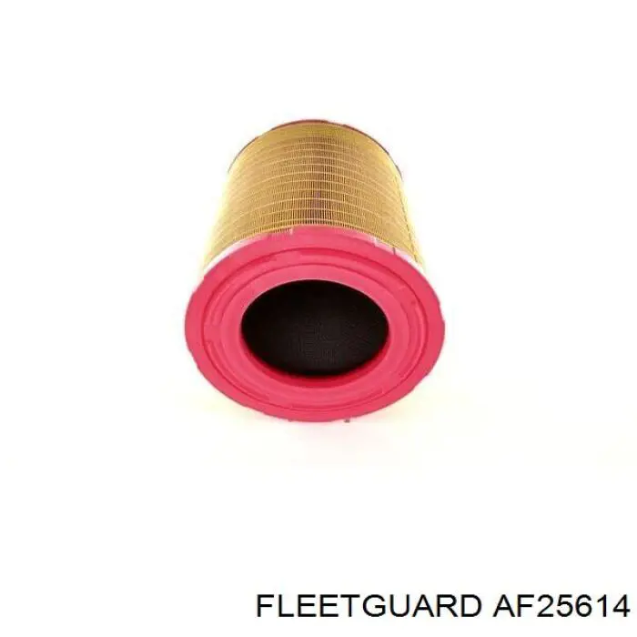 Элемент воздушного фильтра Fleetguard AF25614 цена, от 54.57 USD