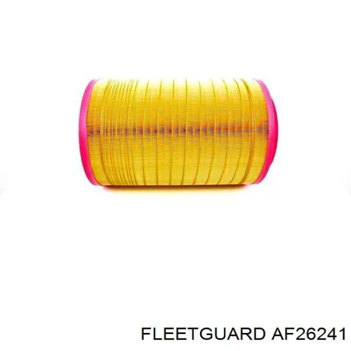 Купить AF26241 Fleetguard Автомобильный фильтр воздуха