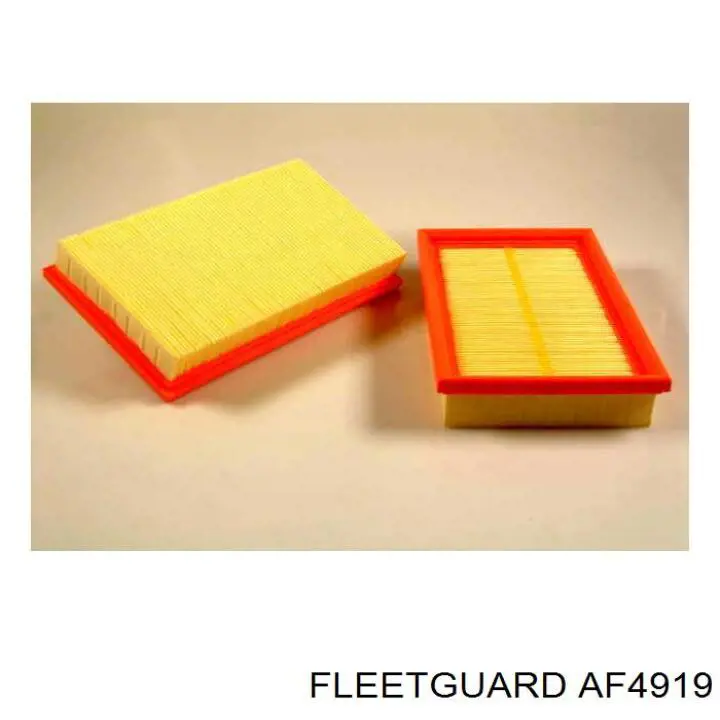 Купить AF4919 Fleetguard Автомобильный фильтр воздуха