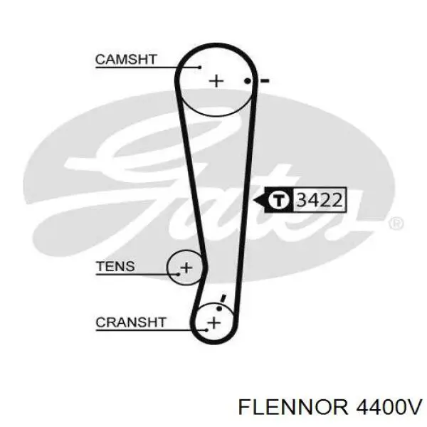 Correa distribucion 4400V Flennor